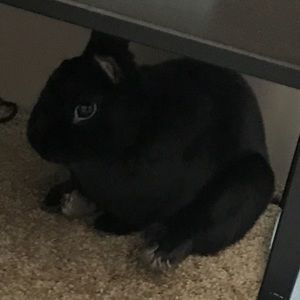 Meet your Posher, Anezka